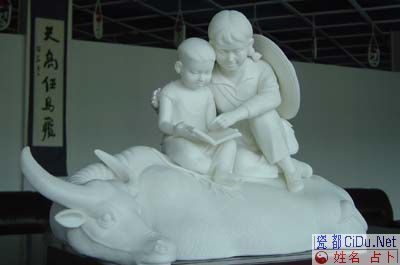 ���ʺ�ר������ɽ����ƿ���ͷ��(ͼ)