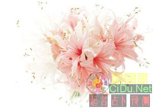 �����ġ�����������(ͼ)