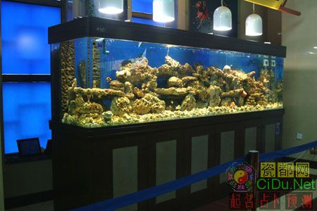 Ӱ��Ҿӽ����ķ�ˮ13��