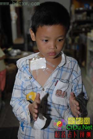 �ֵ����������������