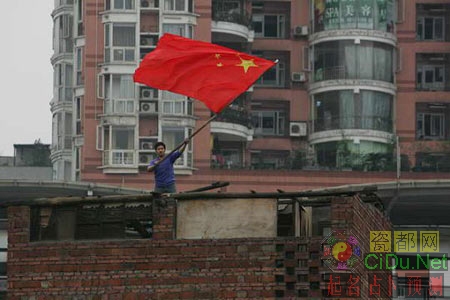 ������ţ���ӻ������ݶ������(ͼ)