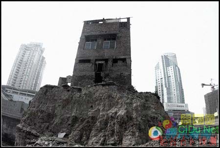 ����ţ���ӻ���ҹ�޹µ� �������汻��(��ͼ)