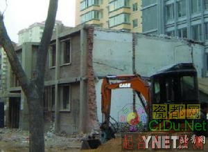 �����桰��ţ���ӻ�����������(ͼ)