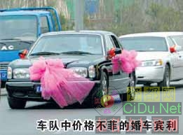 ��������ţӭ�׳��� ӭ���������۰���