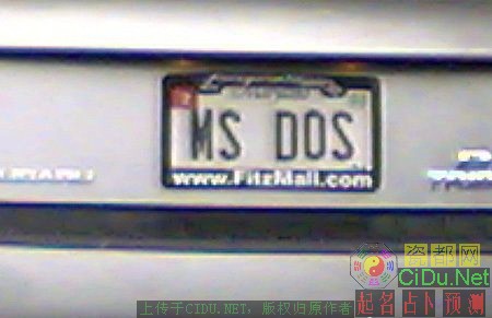 MS DOS ΢��������