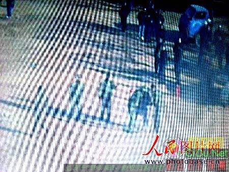 ���������ӻ�����ǿ�� �����������ͼ���(��ͼ)