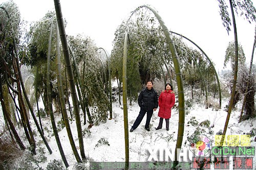 ����ѹ������ ����������ְ��ѳְ[��ͼ]