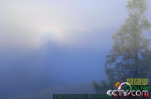 �½�����˹���������ƺ�������(��ͼ)