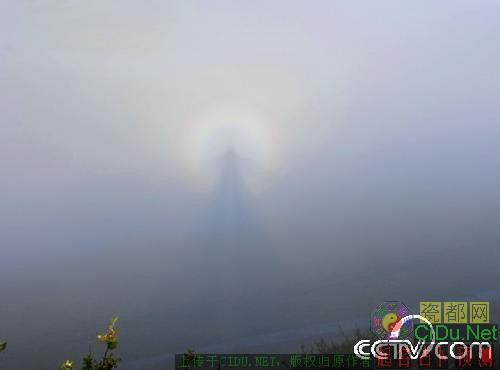 �½�����˹���������ƺ�������(��ͼ)