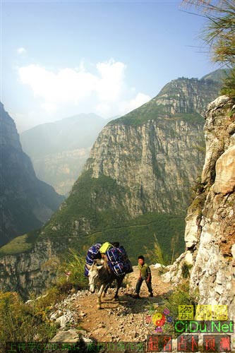 ���Сѧ����26�꣺���������ѧ·(��ͼ)