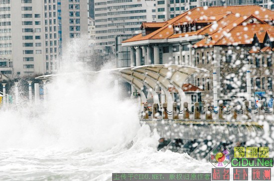 �ҹ��ֲ��������ܳ��ֶ�������(ͼ)