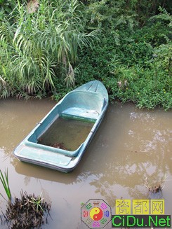 ����IXUS 1000HS����