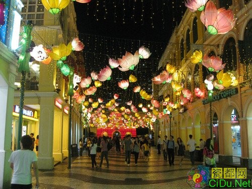 ������ͷ ����HSϵͳҹ�����ʶԱȲ���