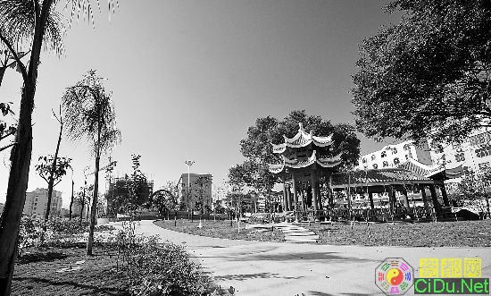 �����������ɵ�(��ͼ)