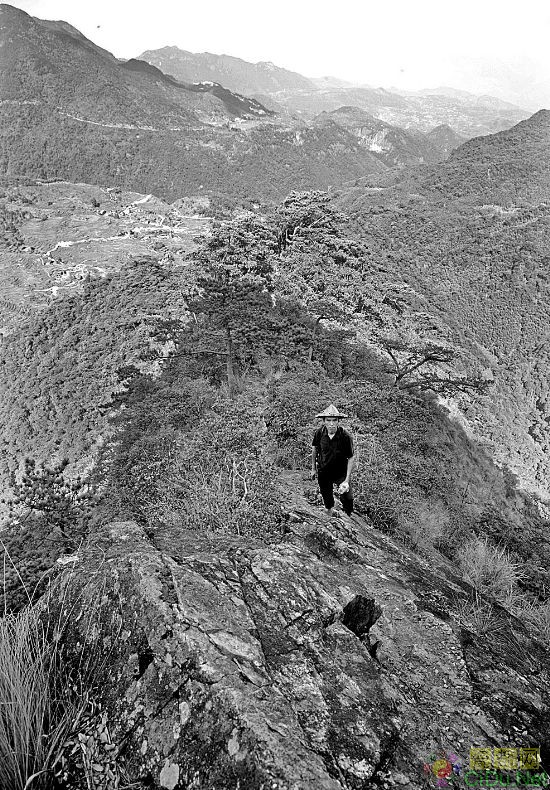 ������ɽ(��ͼ)