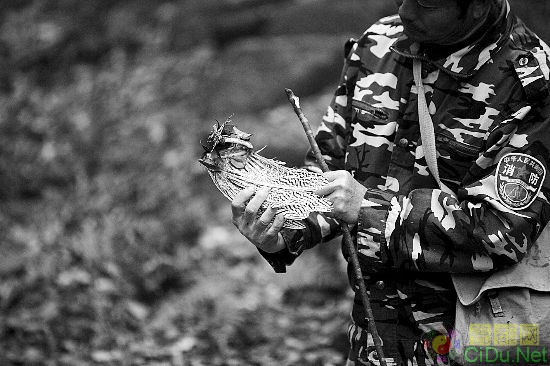 ������ɽ(��ͼ)