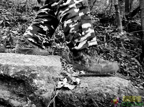 ������ɽ(��ͼ)