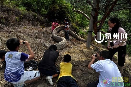 էһ������������������һ�������ڵ������С�