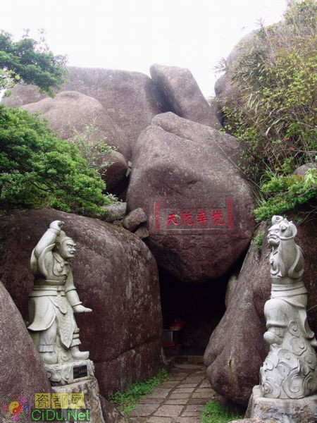 ���ɶ�������