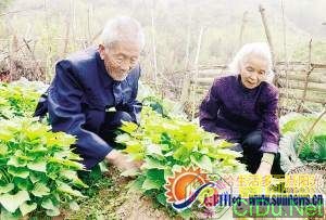 ��λ������������԰���������ڡ����� ����� ��